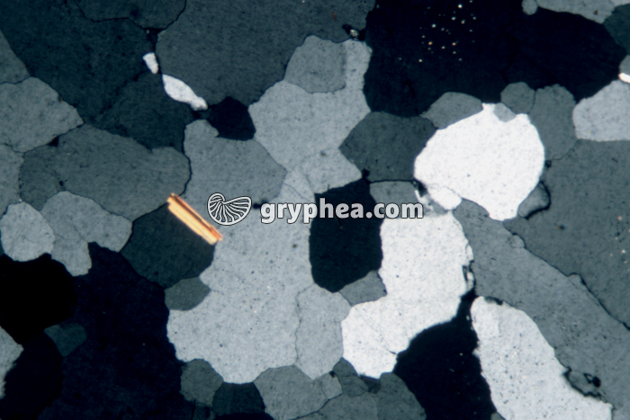 Quartz LPA x15 - gryphea.com